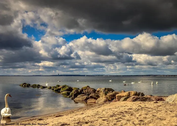 Krabbes Grosse Hafenliebe Neustadt in Holstein